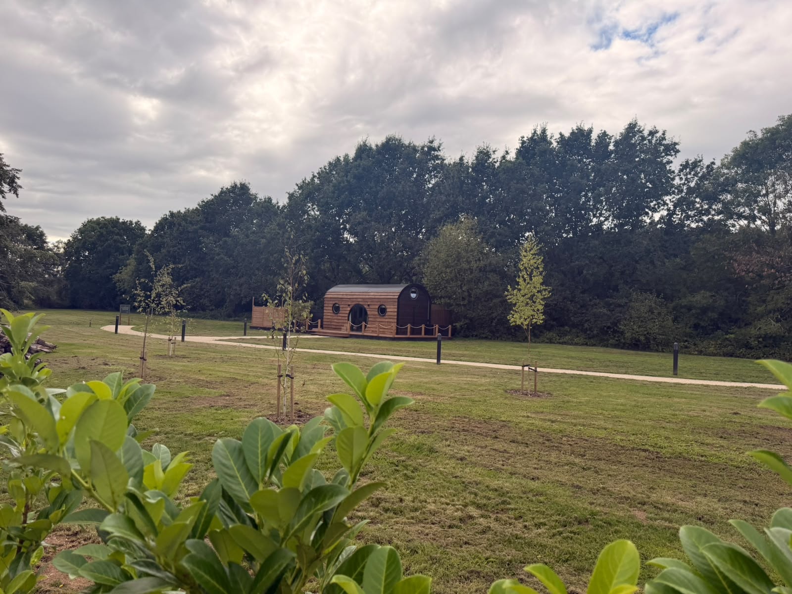 Elmtree Cabins set in the open grounds with path leading to the cabin
